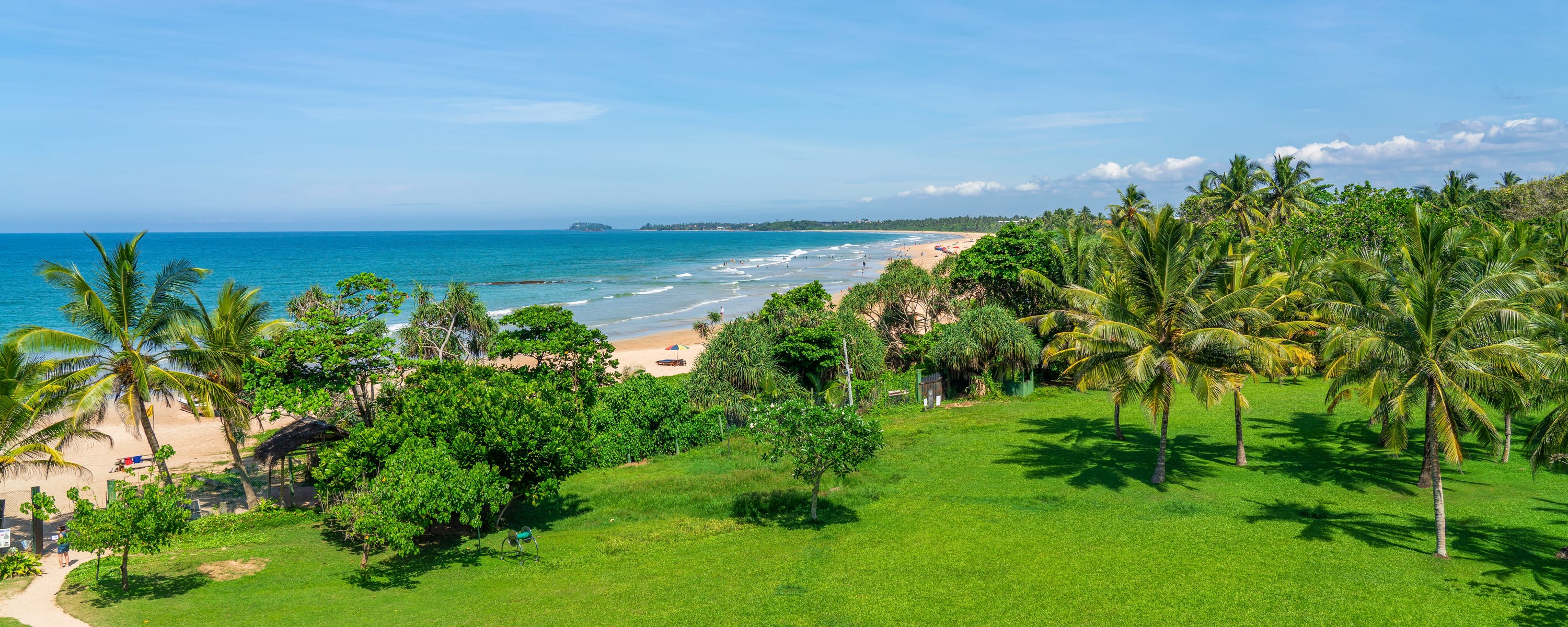 Bentota beach with palm trees